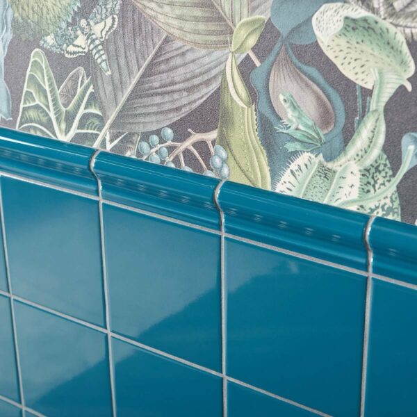 Capsule? Blue Gloss Border 150x50 Wall Tiles