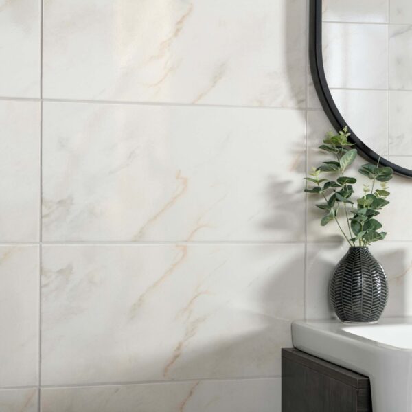 Alpine Blanco Marble Effect 50x25 - Image 5