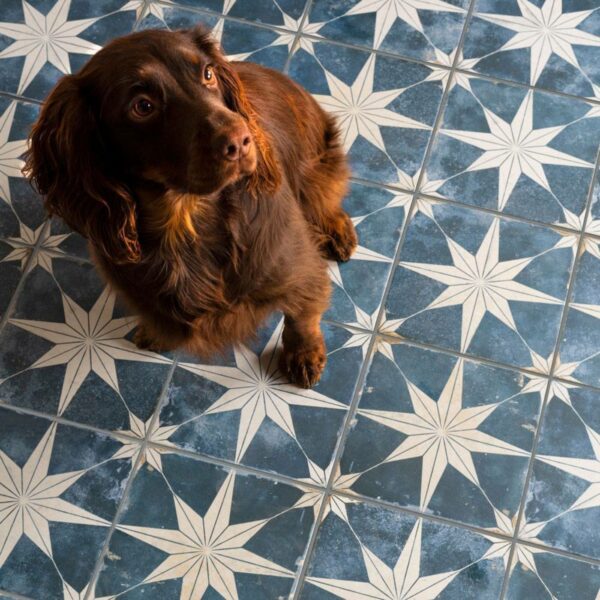 Scintilla Sky Blue Star Pattern Wall and Floor Tiles