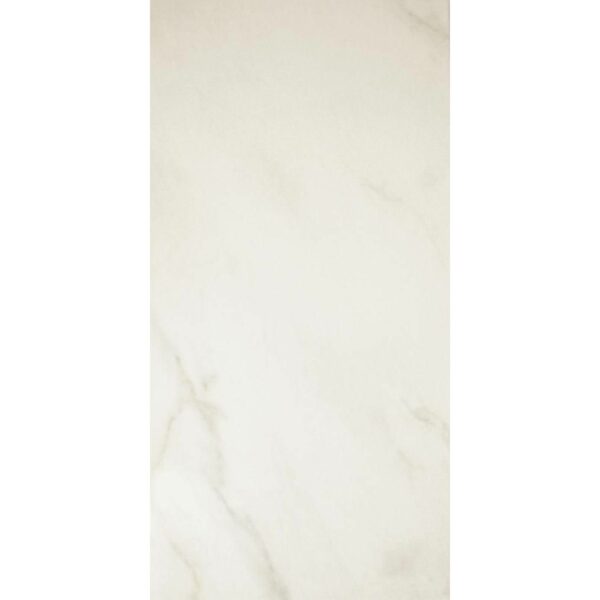 Alpine Blanco Marble Effect 50x25 - Image 7